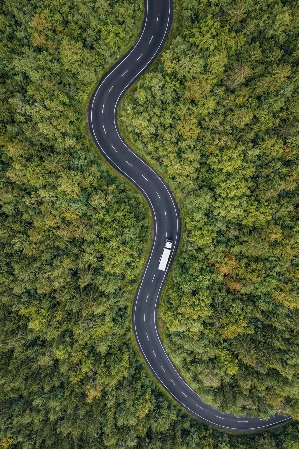 Lastbil på snoet skovvej